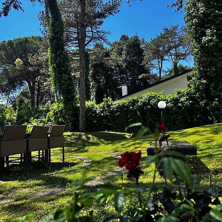 Villa Greif Pineta リニャーノ・サッビアドーロ エクステリア 写真