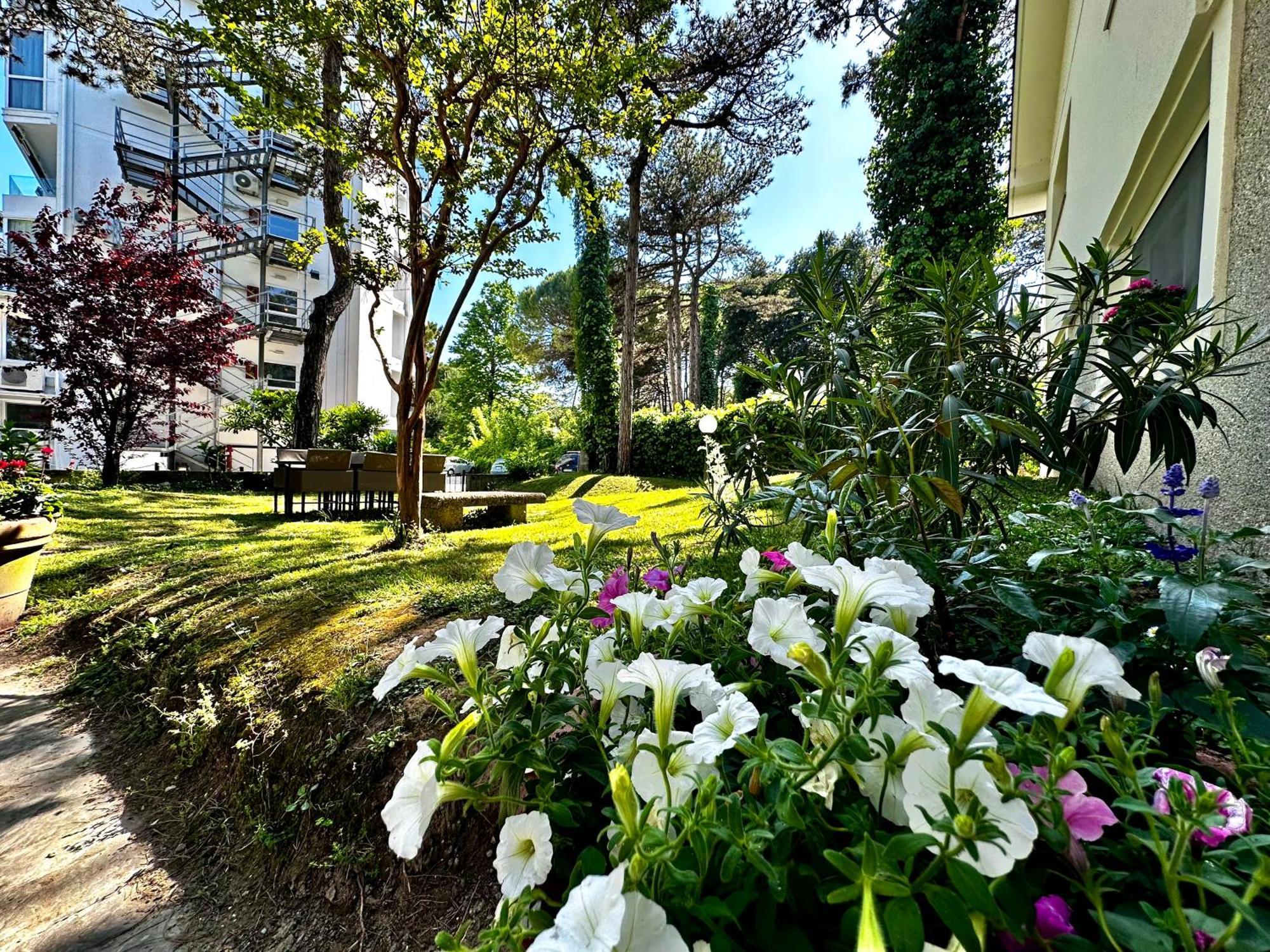 Villa Greif Pineta リニャーノ・サッビアドーロ エクステリア 写真