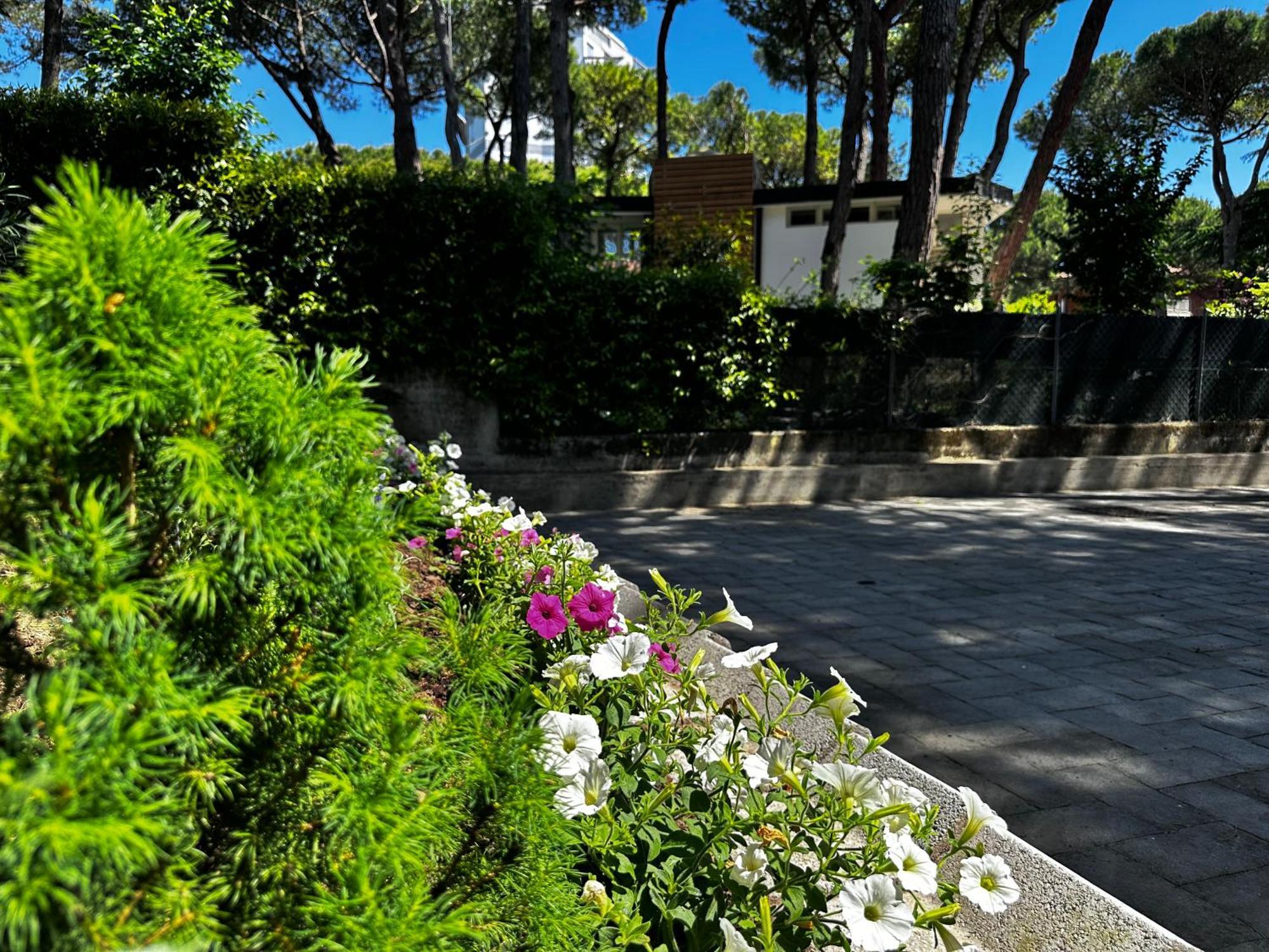 Villa Greif Pineta リニャーノ・サッビアドーロ エクステリア 写真